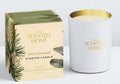 Ashleigh & Burwood Fir & Cedarwood Scented Candle (Soy Wax &  Sustainable RSPO Palm Wax)