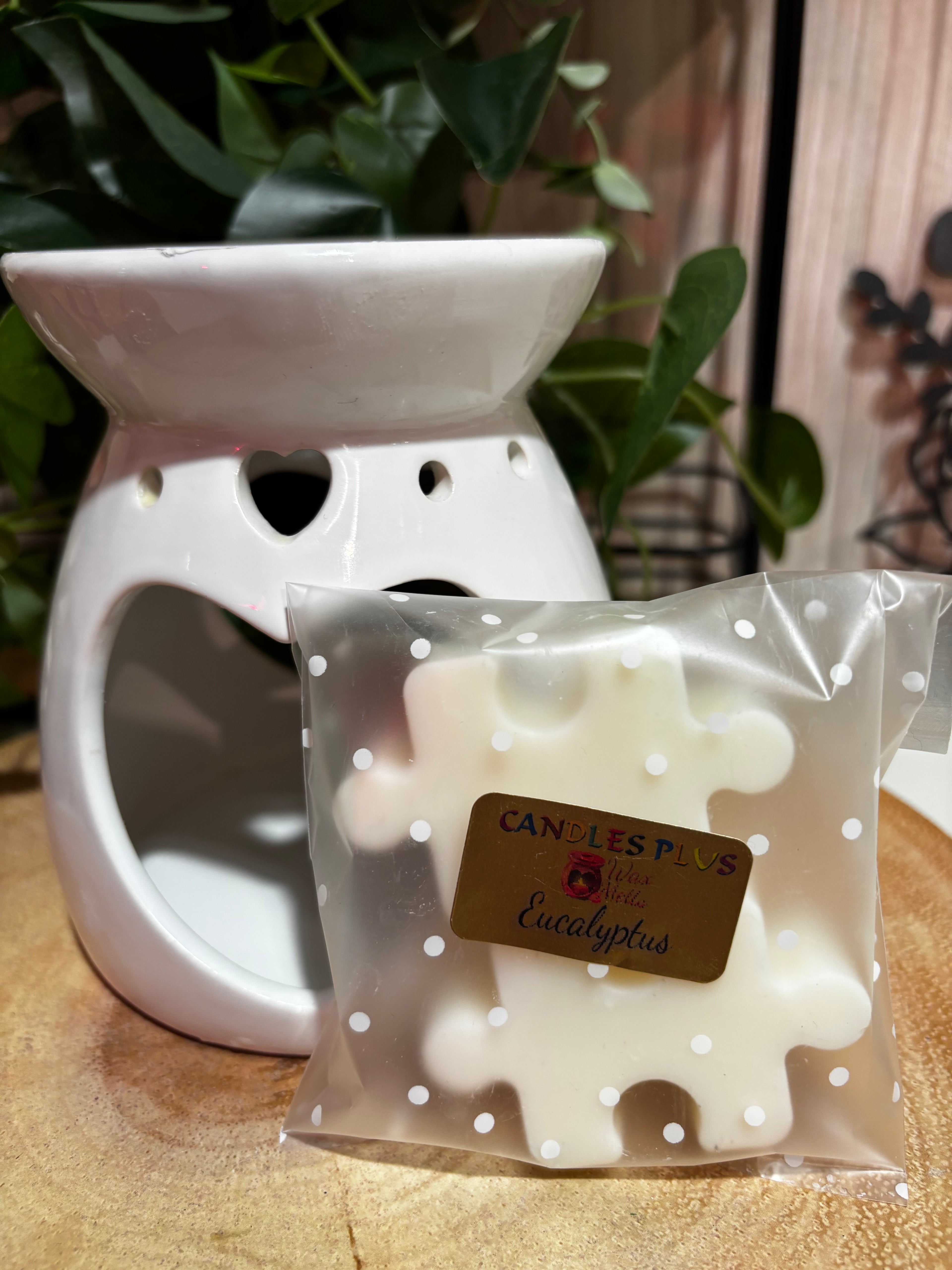 Candles Plus Wax Melts - Eucalyptus