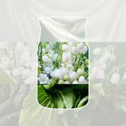 Clean Cotton - Yankee Candle - (Small Signature Jar)