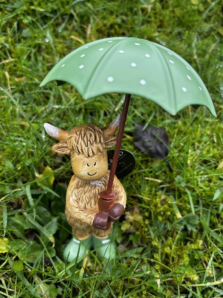 Highland Cow with Umbrella and Wellies