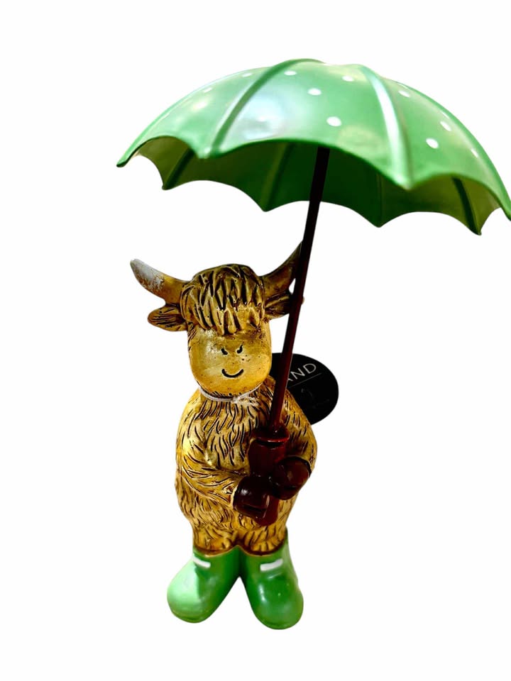 Highland Cow with Umbrella and Wellies