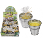 Homeware - Garden - Citronella