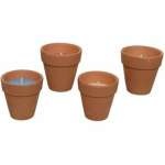 Homeware - Garden - Citronella