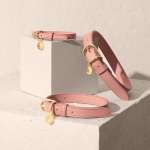 Katie Loxton - Accessories - Pets