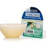 Yankee Candle - Christmas - Candles - Melts