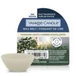 Yankee Candle - Christmas - Candles - Melts