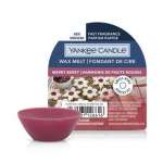 Yankee Candle - Christmas - Candles - Melts