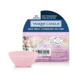 Yankee Candle - Christmas - Candles - Melts