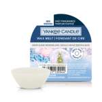 Yankee Candle - Christmas - Candles - Melts