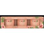 Yankee Candle - Classic - Filled Votives