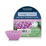 Yankee Candle - Classic - Melts